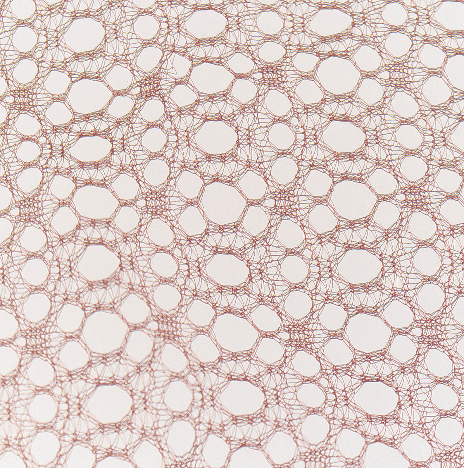 112793303 P001410