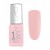 wild rose 182044
