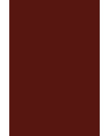 ANDREIA Gel Polish Vernis Semi-Permanent LED &amp; UV IN3 Inspo Collection - Marron 10.5ml