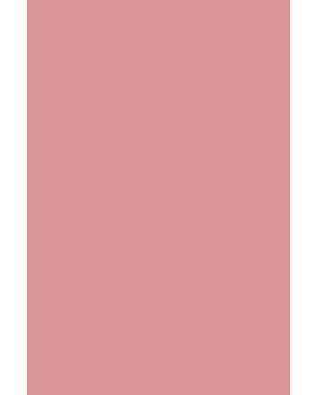 ANDREIA Gel Polish Vernis Semi-Permanent LED &amp; UV SP4 Free Spirit - Rose Nude 10.5ml