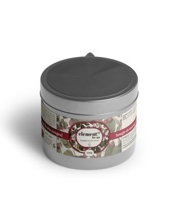 EFSV016 FRUITS ROUGES