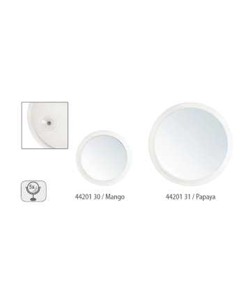 MIROIR A VENTOUSES GROSSISSANT 5X