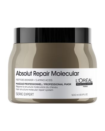 Serie Expert Absolut Repair Molecular Masque 500ml