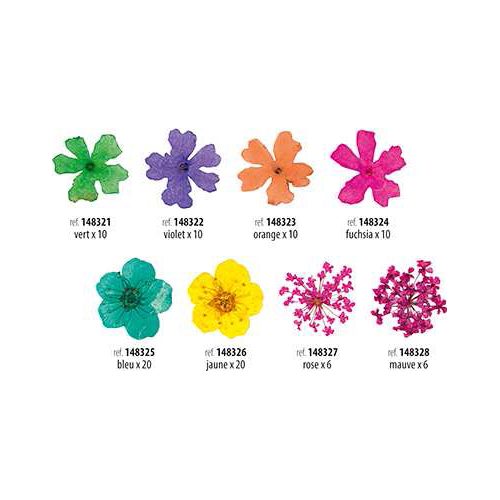 DECORS POUR FLEURS SECHEES