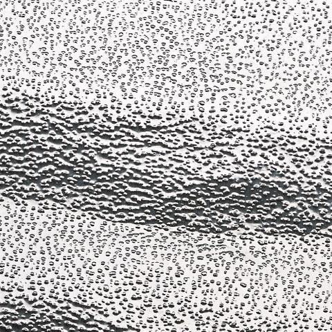 4336216 P002943
